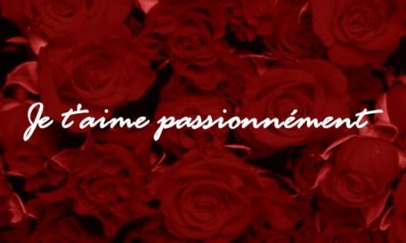 QUE DU PLAISIR