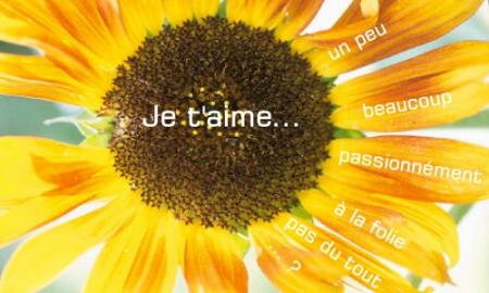 L'INSTINCT DE L'AMOUR